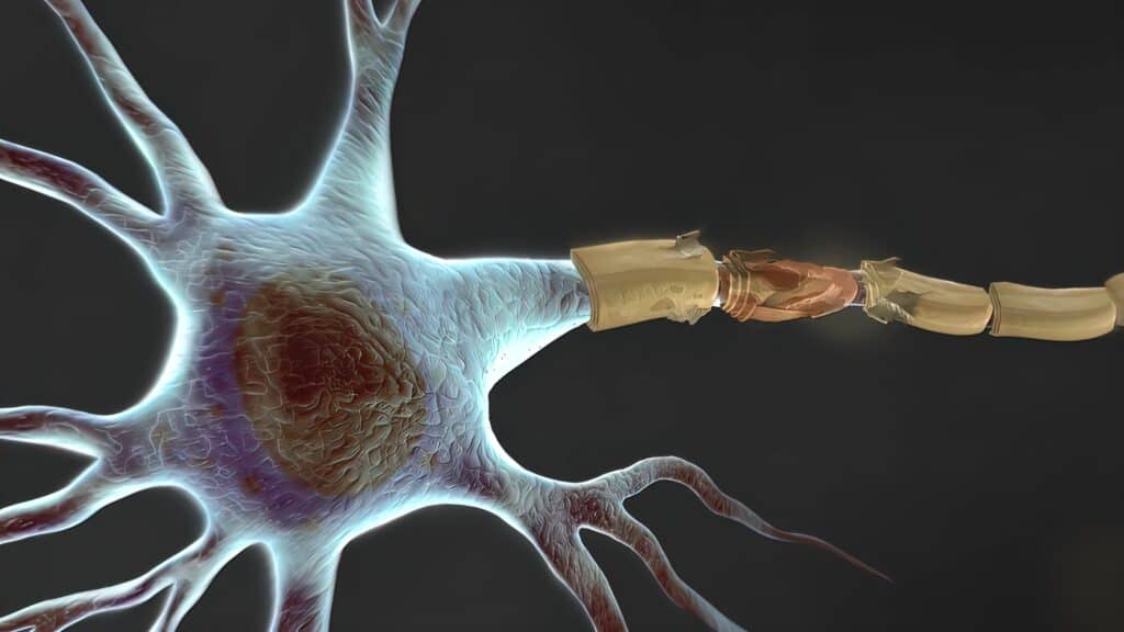 Why does beta-alanine cause itching