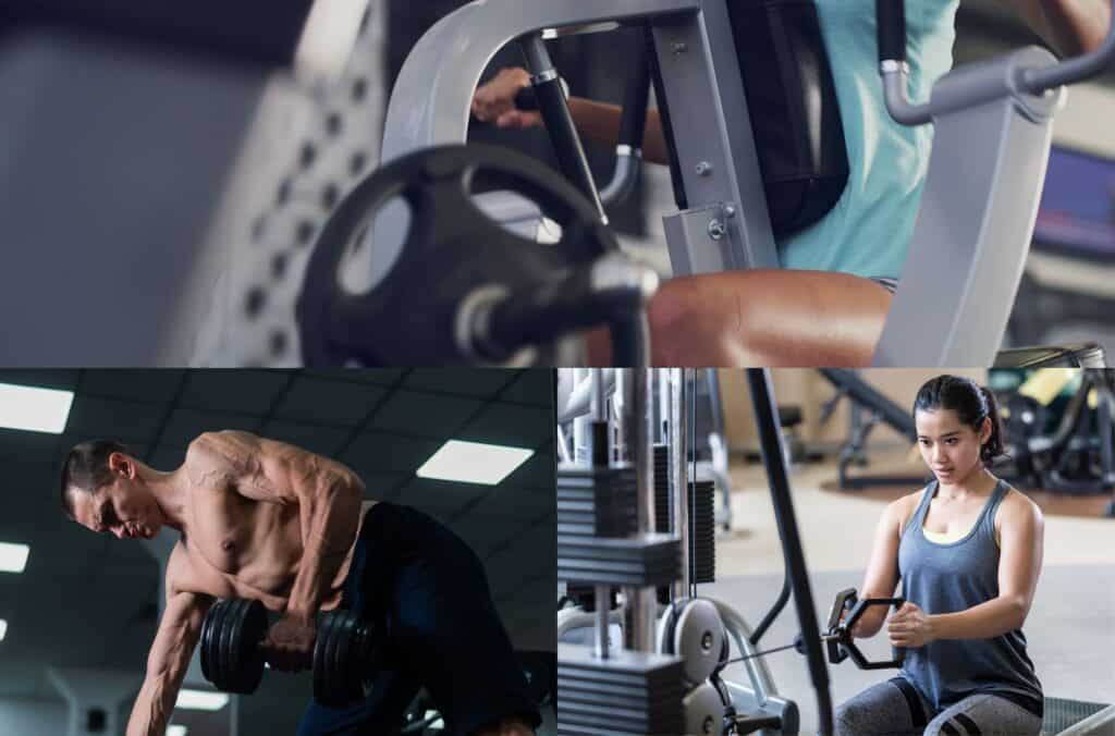 Hammer Strength Iso-Lateral Row And Hammer Strength Row Alternatives