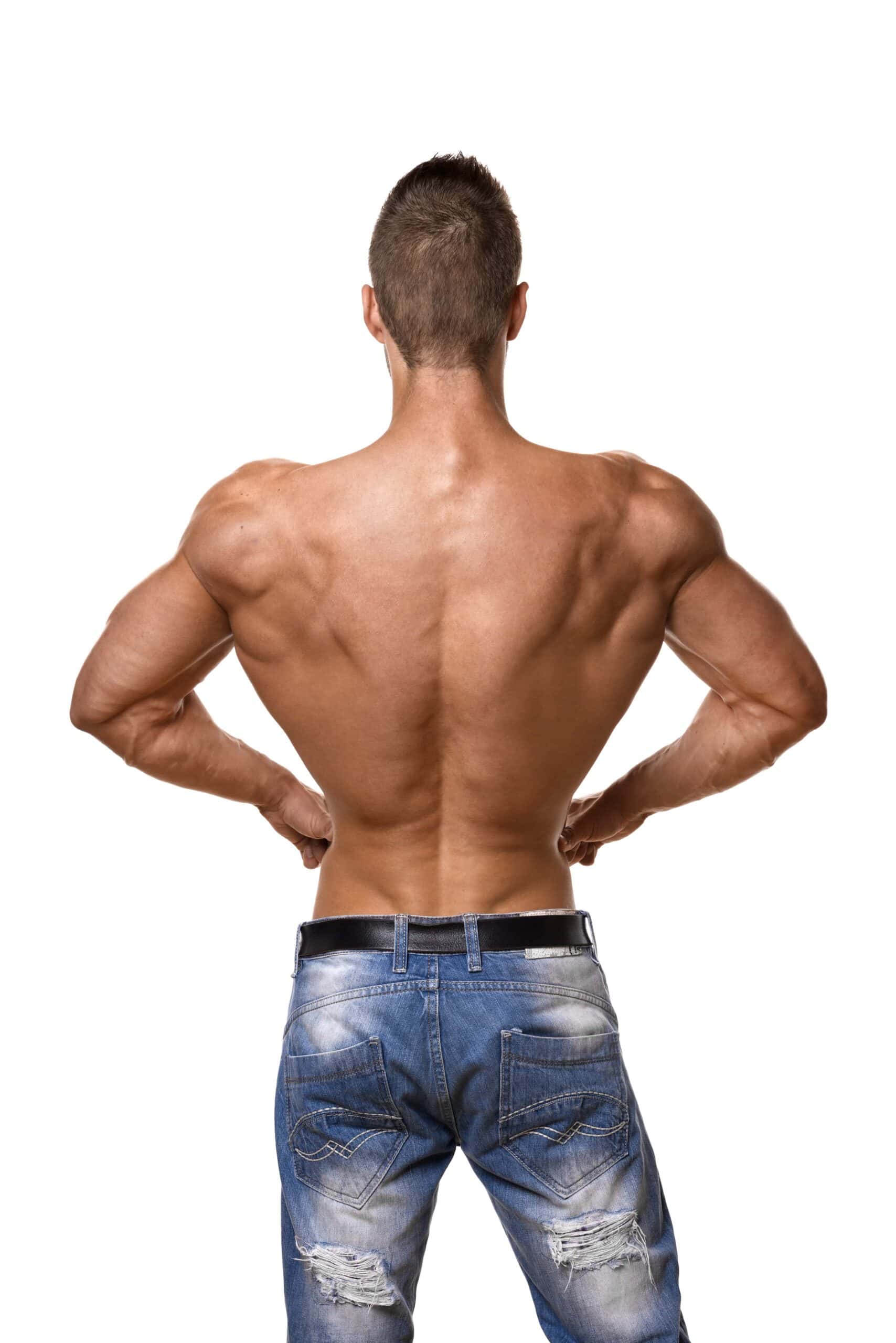 Muscles-Worked-by-the-Hammer-Strength-Row-scaled.jpg